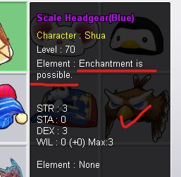 Elemental enchantment item information